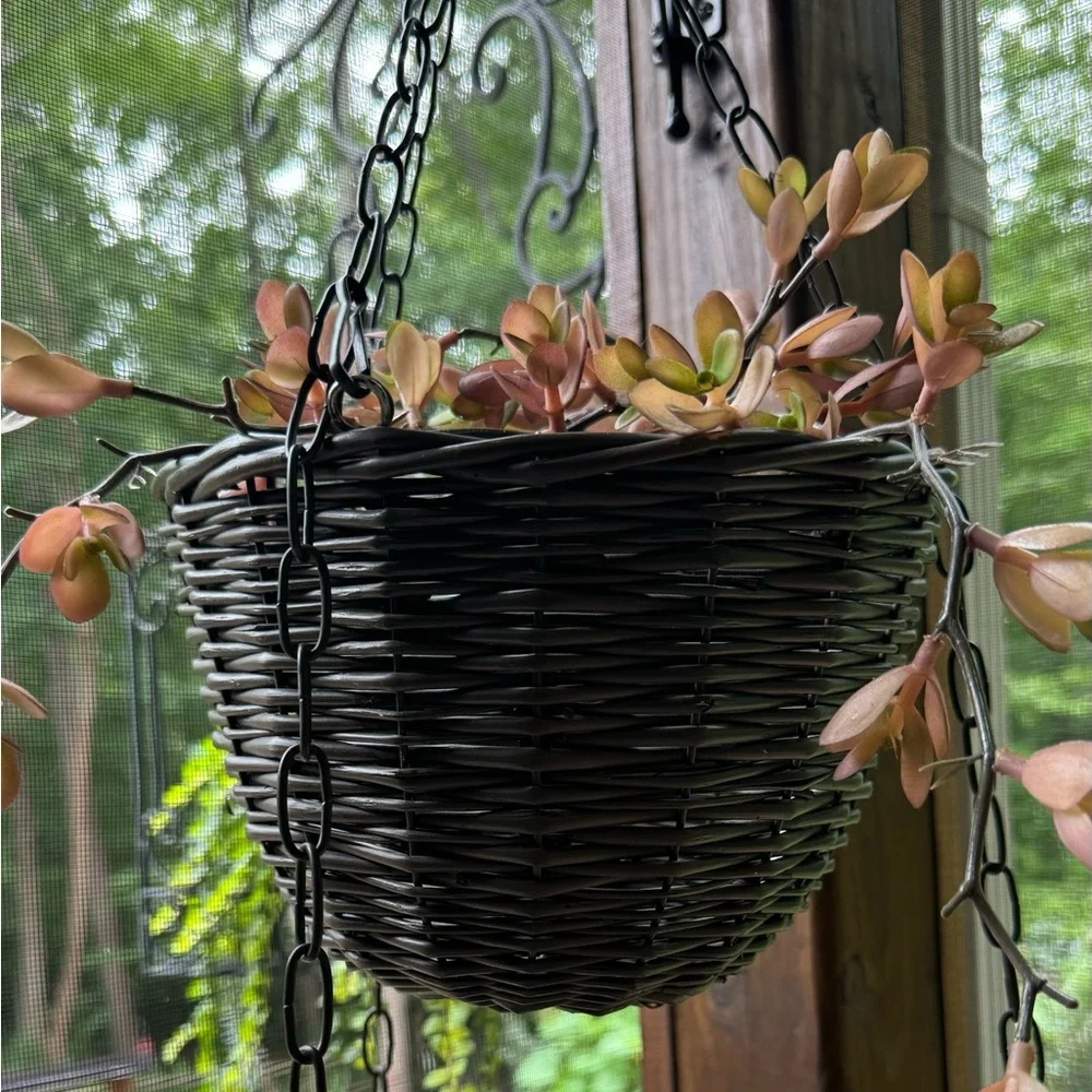 Sur La Table …Madeline ..Hanging Basket / .. 2 here’s… NWT